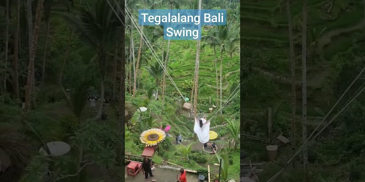 Deb & Matt Chat on YT: Beautiful Bali scenery, great photo op and a fun swing for singles and couples. #bali #travel #fun