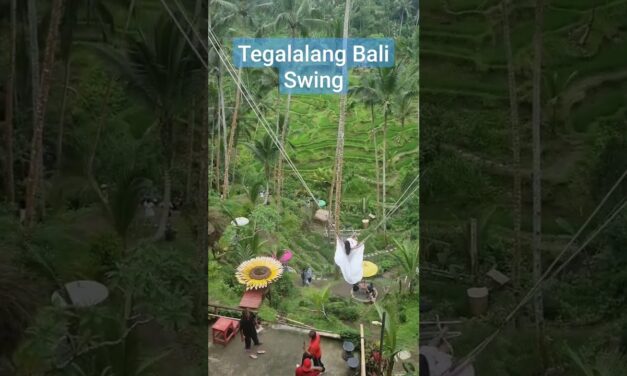 Deb & Matt Chat on YT: Beautiful Bali scenery, great photo op and a fun swing for singles and couples. #bali #travel #fun