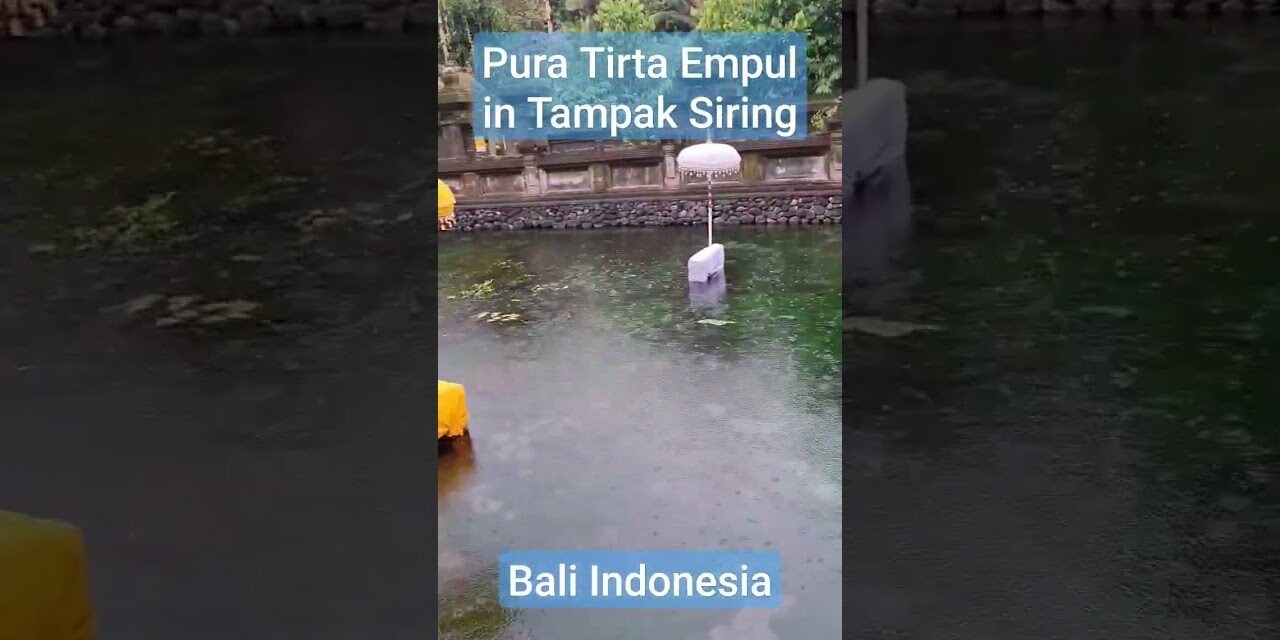 Deb & Matt Chat on YT: Rainy day at Pura Tirta Empul in Tampak Siring, Bali, Indonesia #travel #rain #bali #indonesia