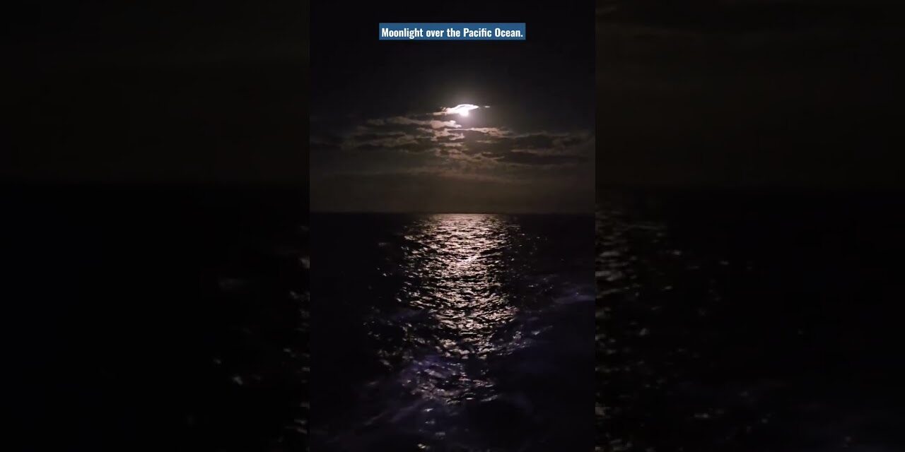 Deb & Matt Chat on YT: Moon rising over the Pacific Ocean. #beauty #nature #ocean #travel