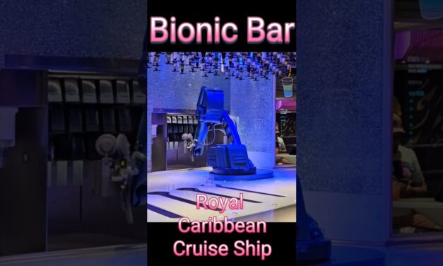 Deb & Matt Chat on YT: Bionic Bar on board Royal Caribbean Quantum Of The Seas watching the robot make drinks. #cruise