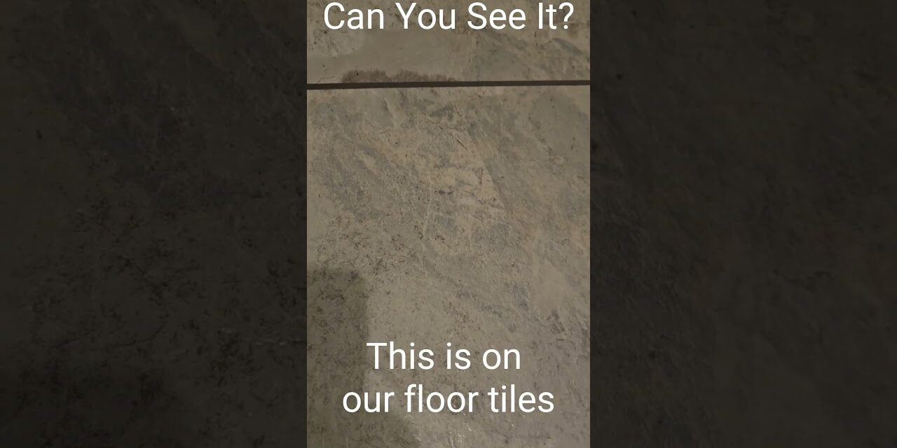Deb & Matt Chat on YT: Can You See It? This image is on our floor tiles!