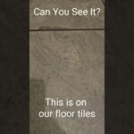 Deb & Matt Chat on YT: Can You See It? This image is on our floor tiles!