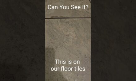Deb & Matt Chat on YT: Can You See It? This image is on our floor tiles!