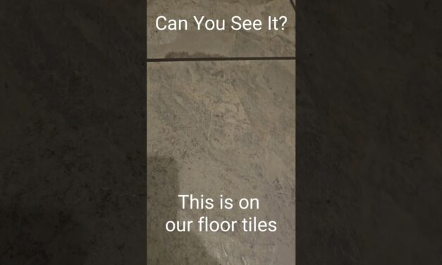 Deb & Matt Chat on YT: Can You See It? This image is on our floor tiles!