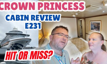 Deb & Matt Chat on YT: Oceanview Stateroom E231 Review | Crown Princess Cruise Ship