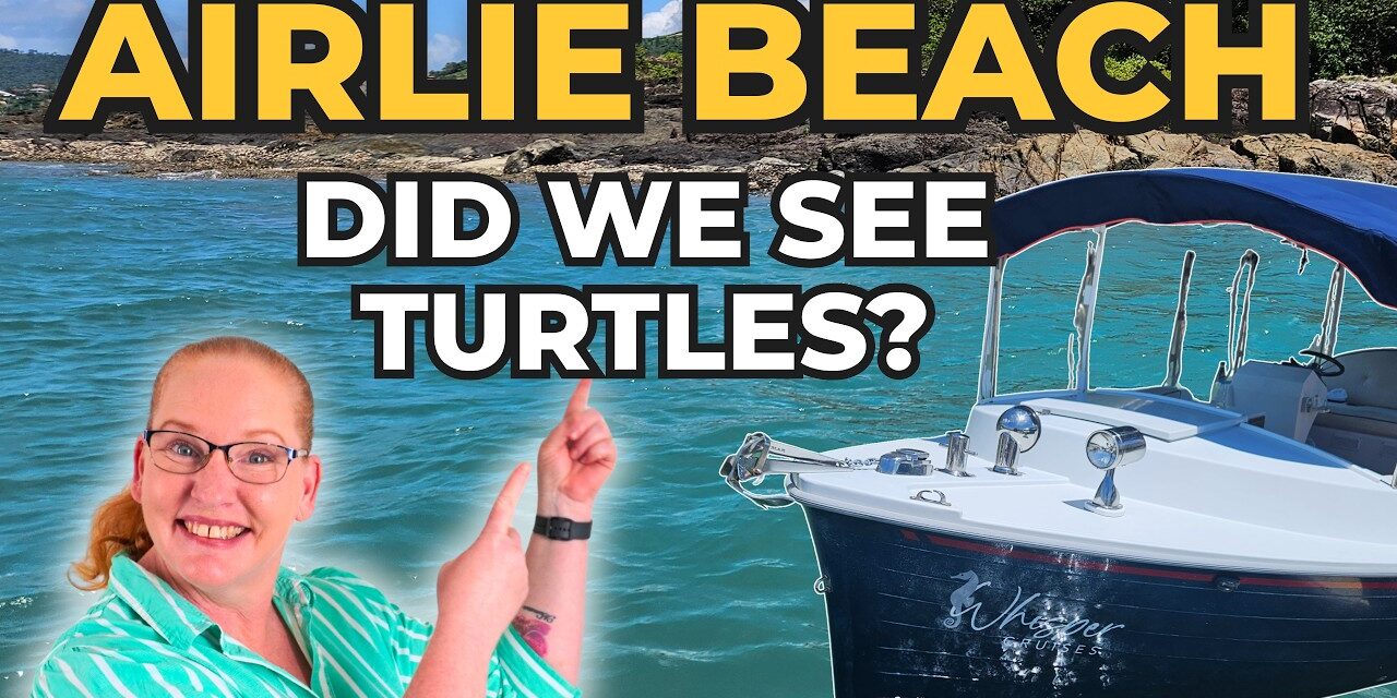 Deb & Matt Chat on YT: Did We See Turtles in Airlie Beach? | Anthem of the Seas