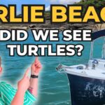 Deb & Matt Chat on YT: Did We See Turtles in Airlie Beach? | Anthem of the Seas