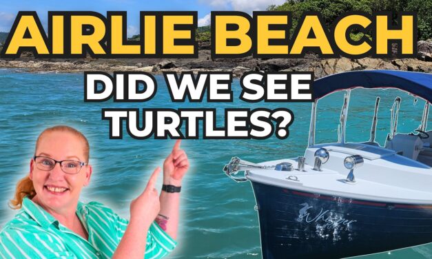Deb & Matt Chat on YT: Did We See Turtles in Airlie Beach? | Anthem of the Seas
